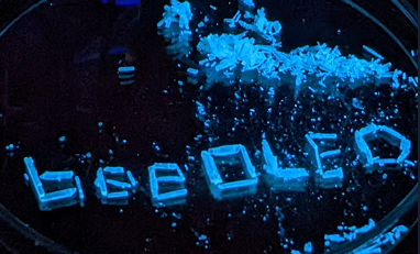 blau leuchtende Kristalle, die das Wort OLED ergeben