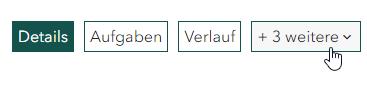 Screenshot der Tableiste im Förderportal; Mauszeiger zeigt auf Tab +3 weitere
