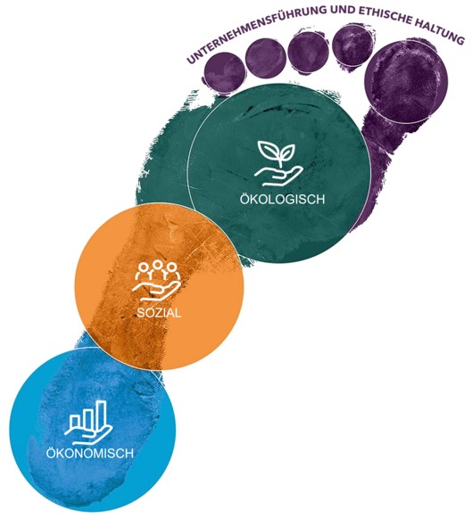 Ein farbiger Fußabdruck, unterteilt in vier Bereiche: Unternehmensführung und ethische Haltung (lila), Ökologisch (grün), Sozial (orange) und Ökonomisch (blau).